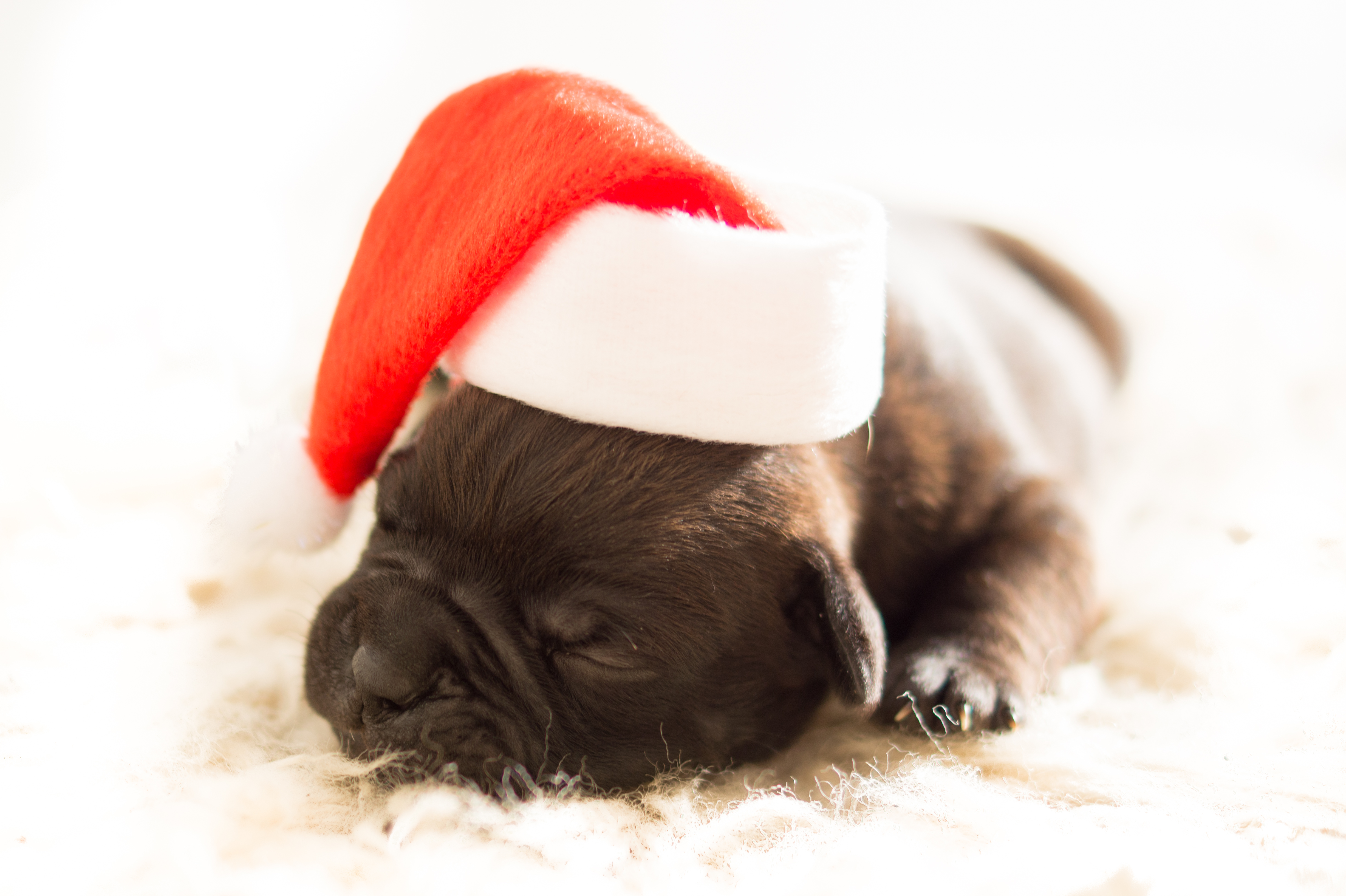Weihnachtliche Grüße